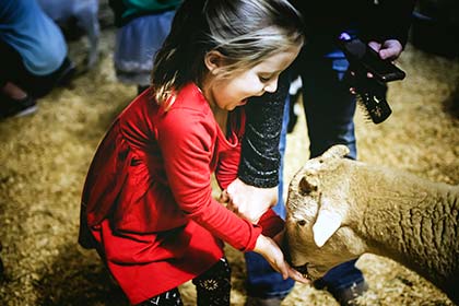 A girl feeding one of the goats at the Sights & Sounds petting zoo